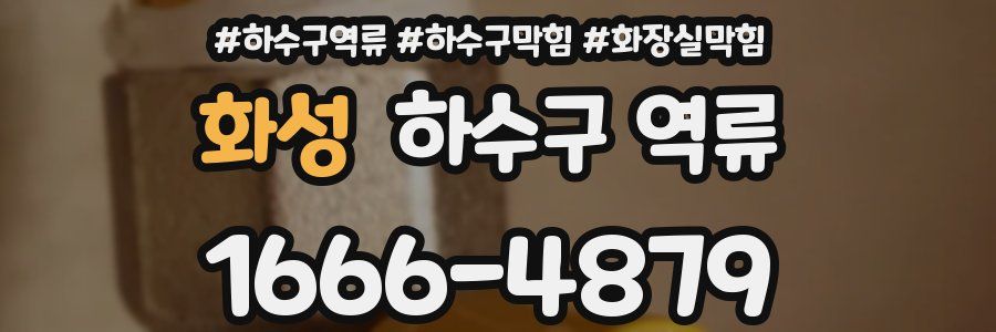 화성 하수구 역류