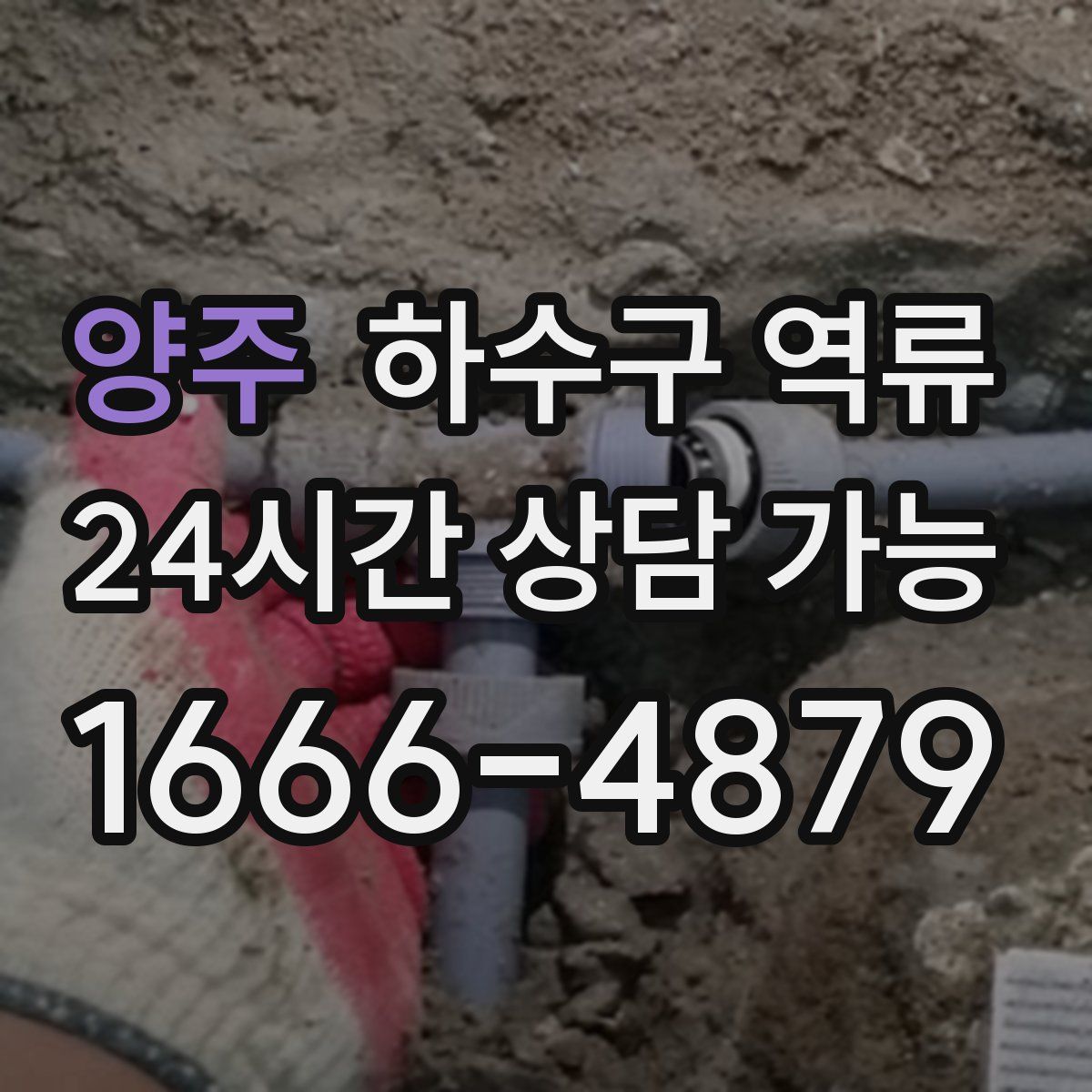 양주 하수구 역류