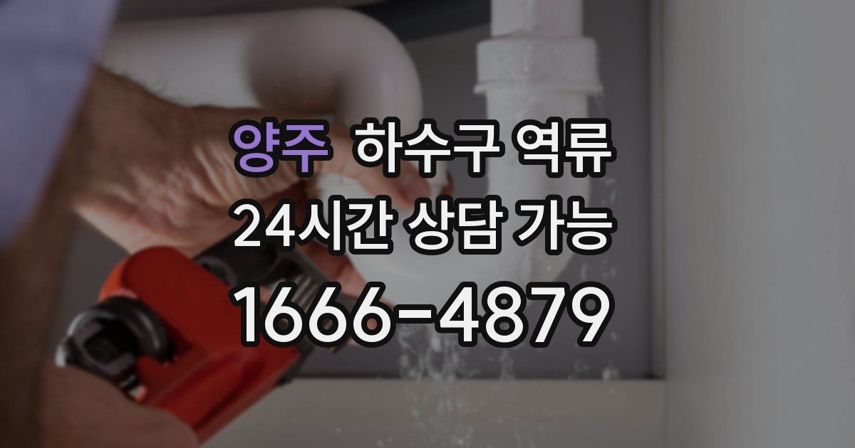 양주 하수구 역류