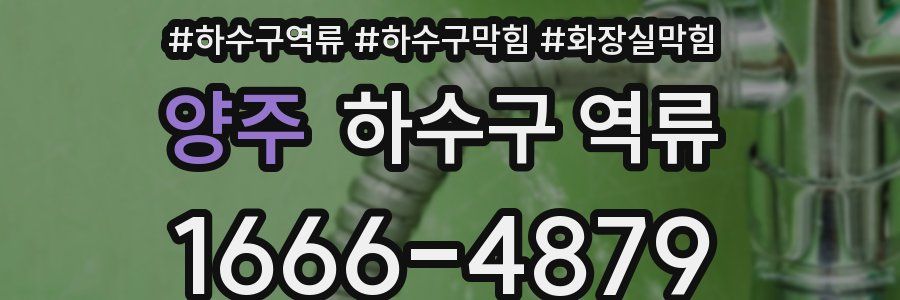 양주 하수구 역류