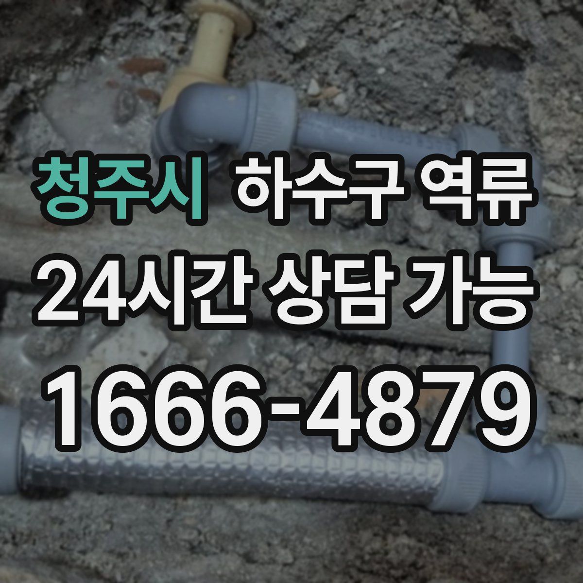 청주시 하수구 역류