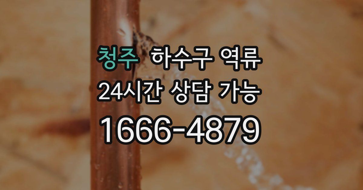 청주 하수구 역류