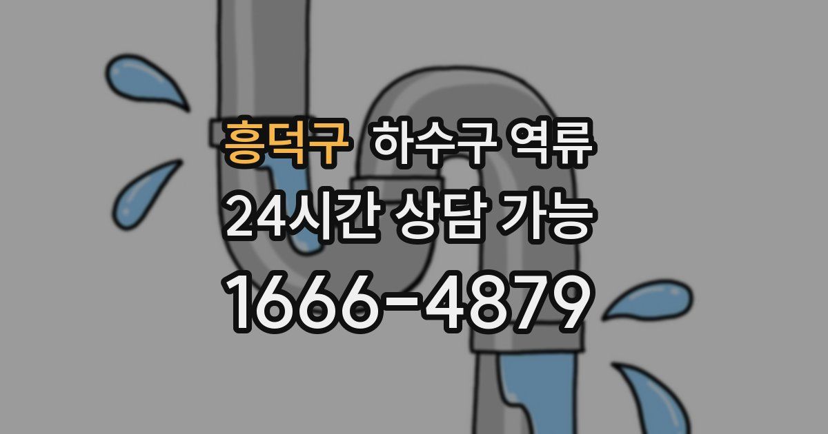 흥덕구 하수구 역류