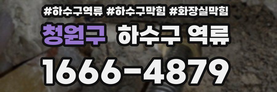 청원구 하수구 역류