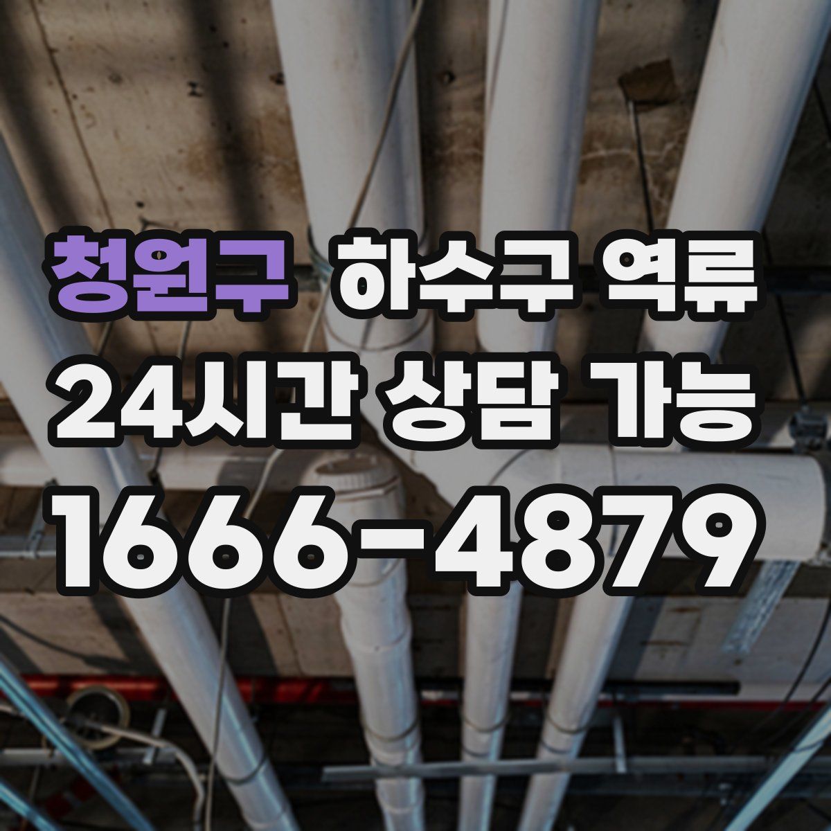 청원구 하수구 역류