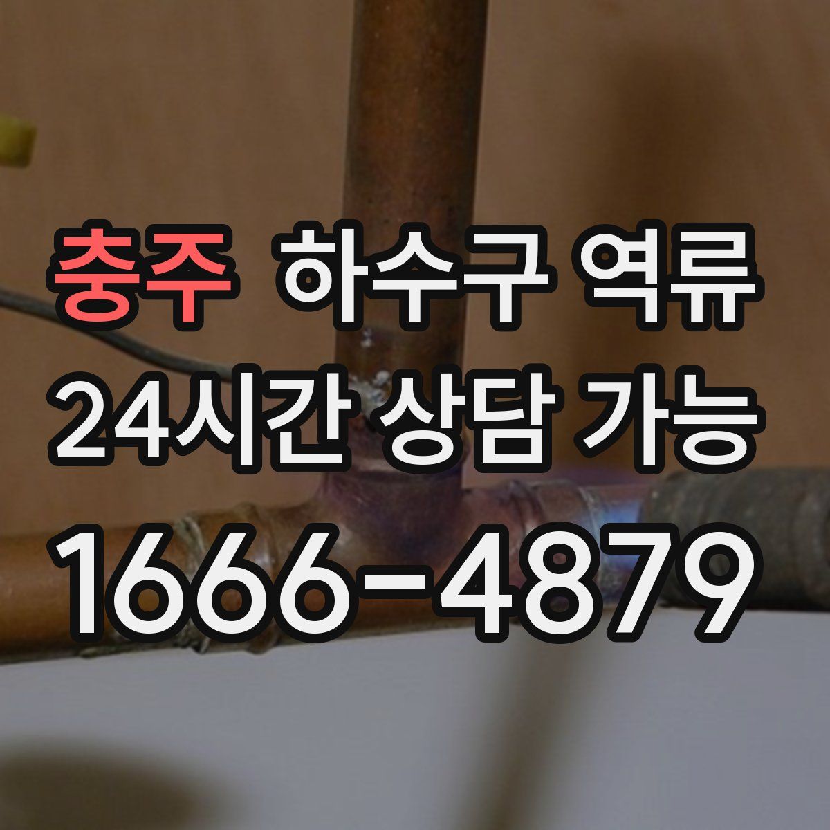 충주 하수구 역류