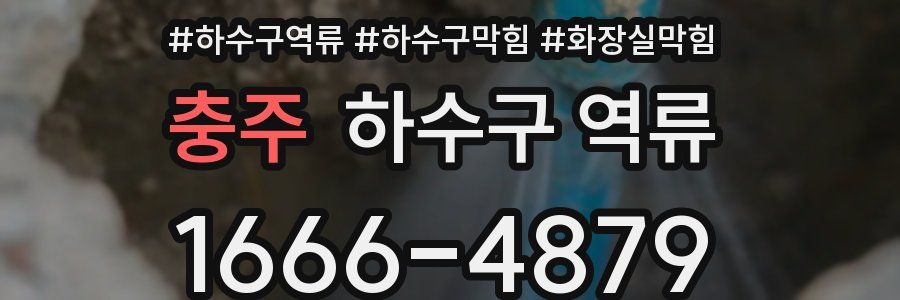충주 하수구 역류
