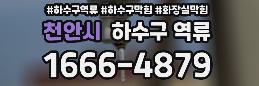 천안시 하수구 역류