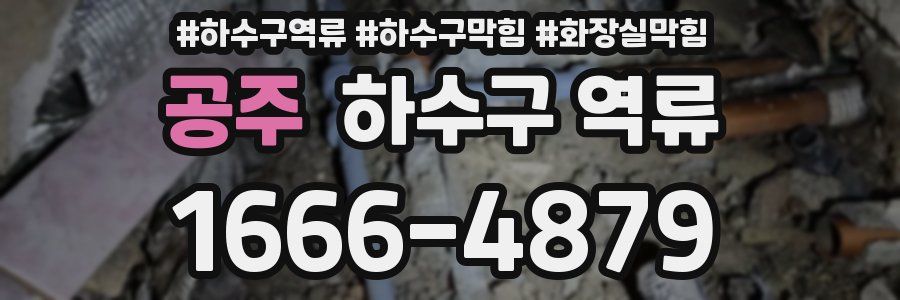 공주 하수구 역류