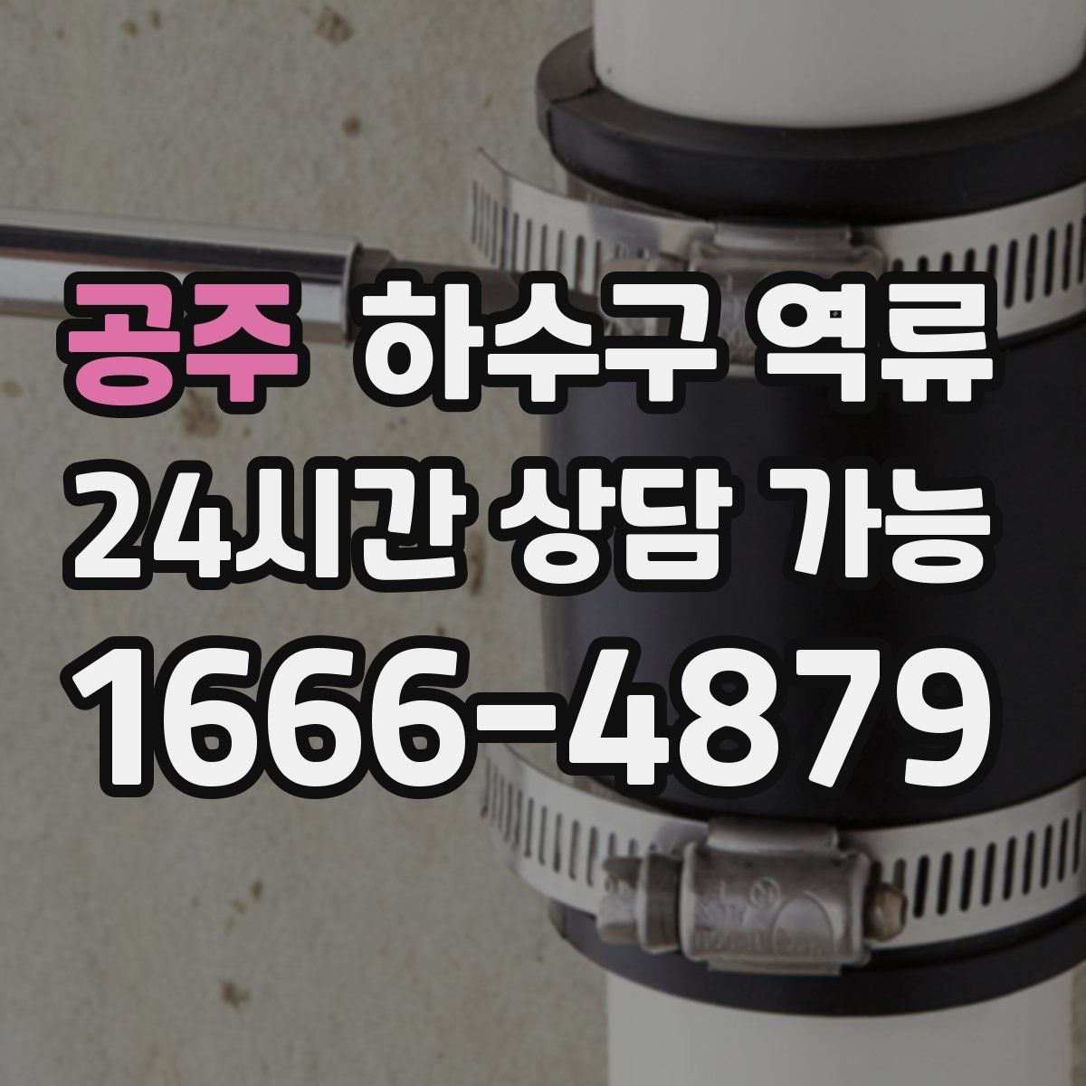 공주 하수구 역류