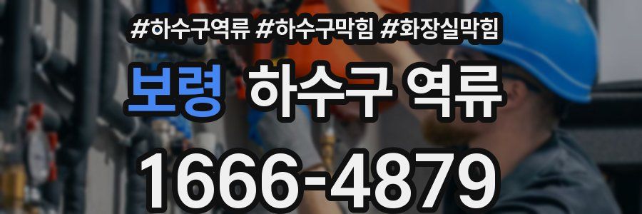 보령 하수구 역류