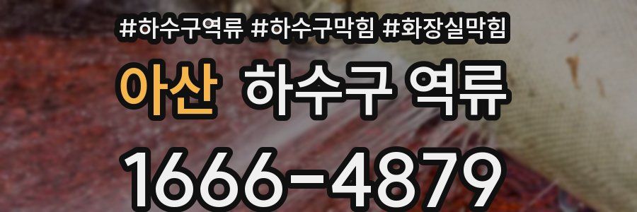 아산 하수구 역류