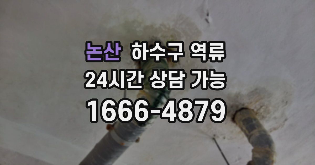 논산 하수구 역류