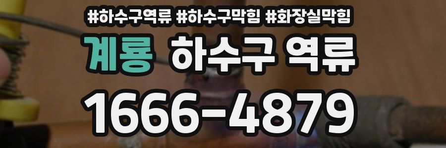 계룡 하수구 역류