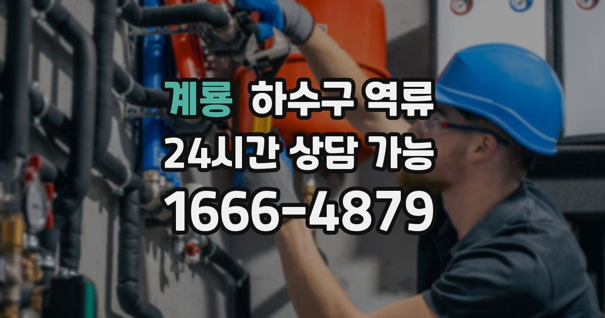 계룡 하수구 역류