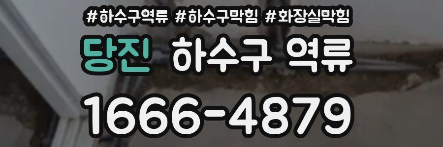 당진 하수구 역류