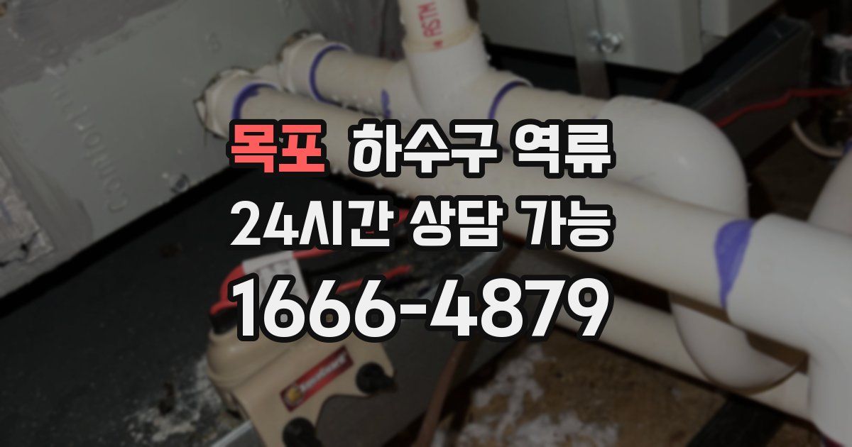 목포 하수구 역류