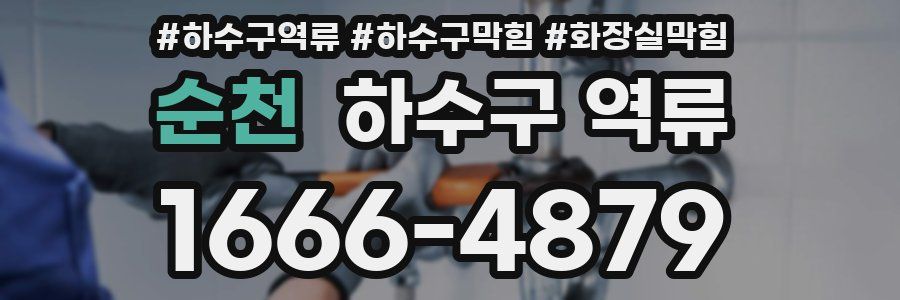 순천 하수구 역류