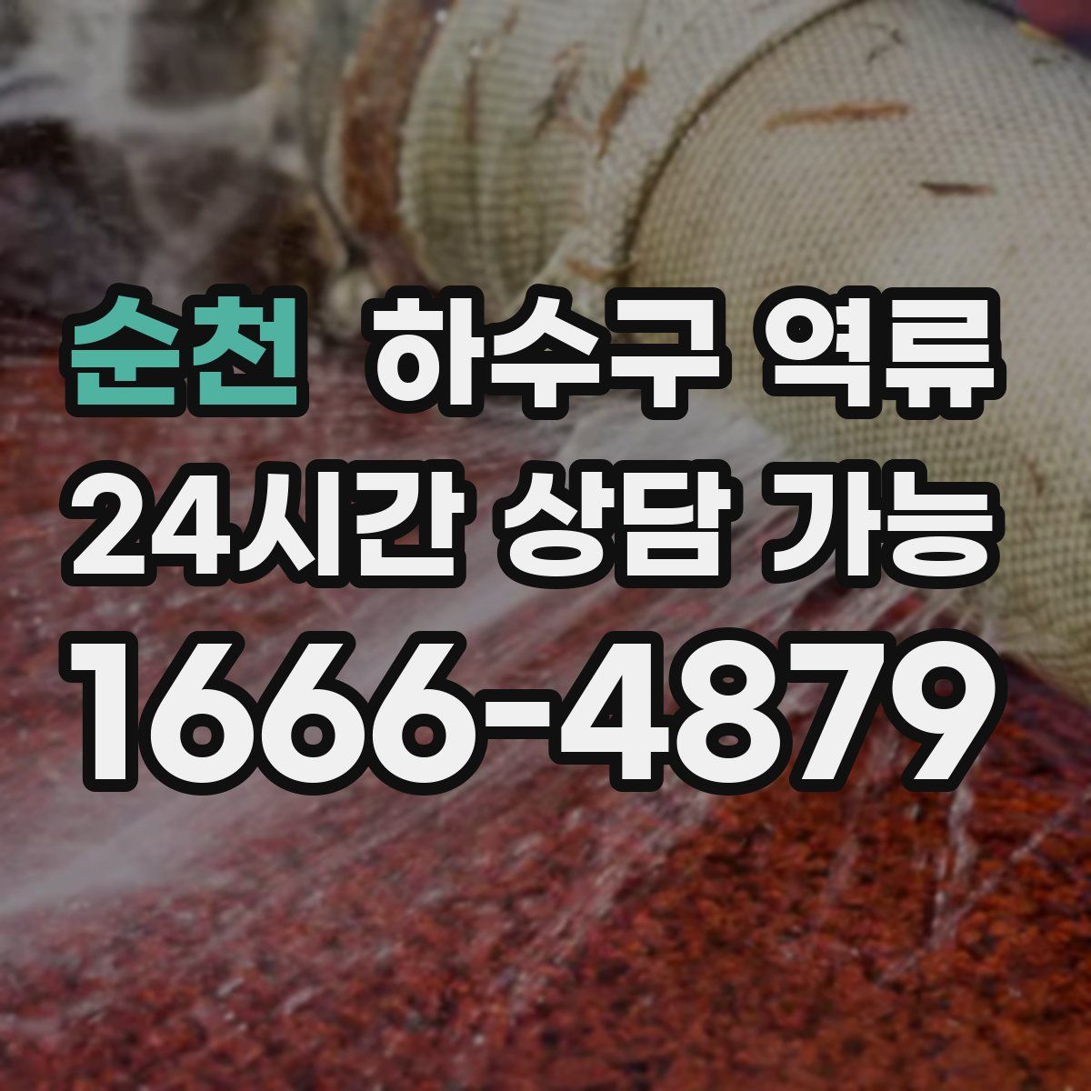 순천 하수구 역류