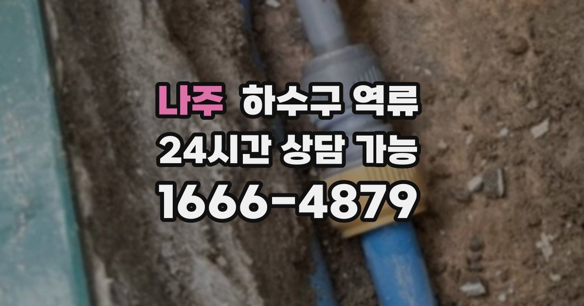 나주 하수구 역류