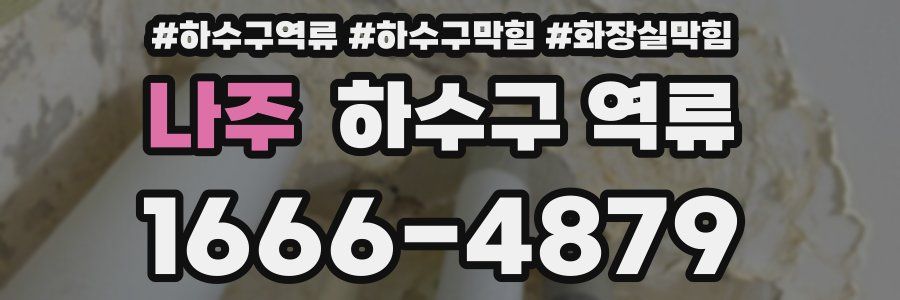 나주 하수구 역류