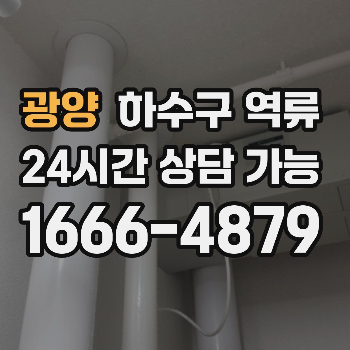 광양 하수구 역류