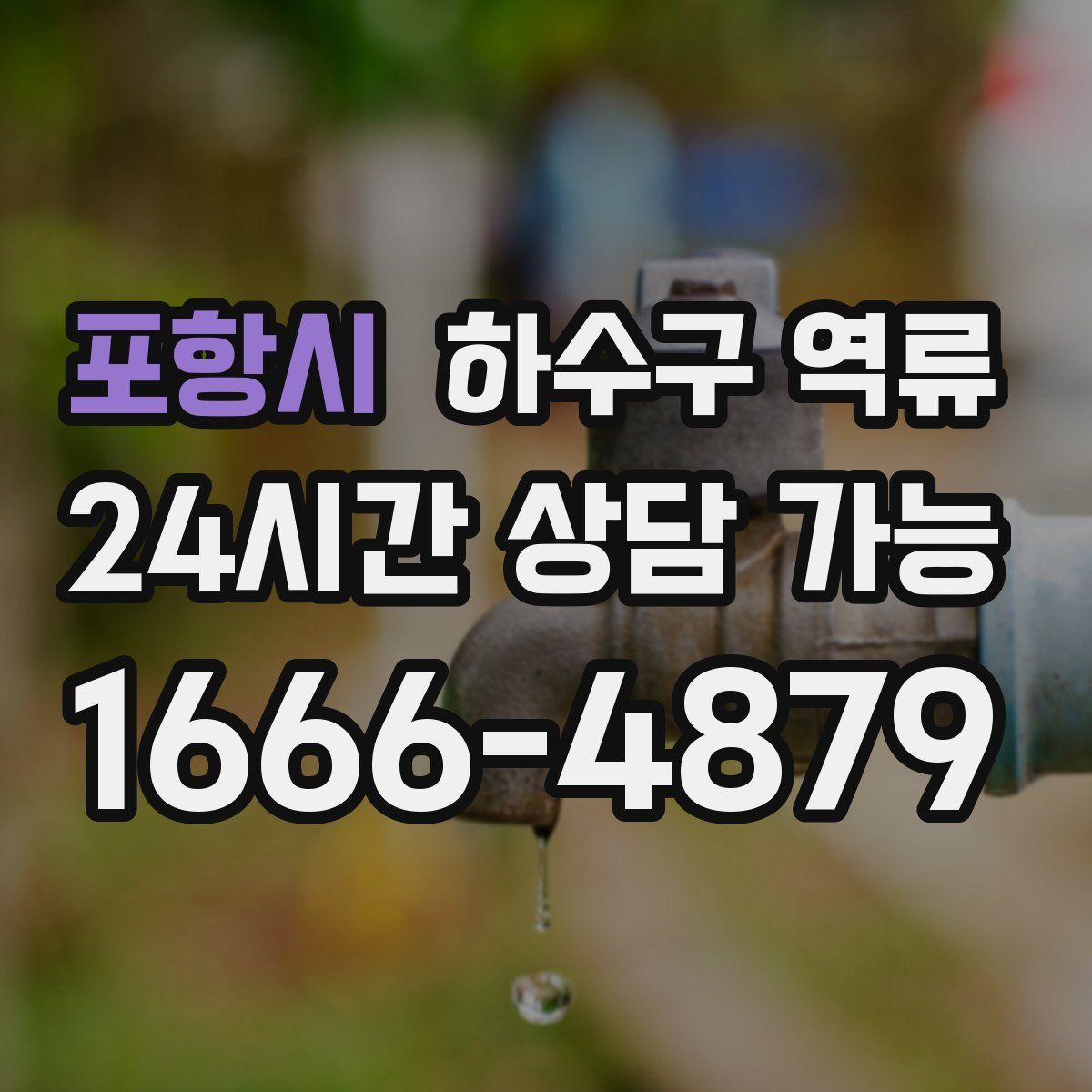 포항시 하수구 역류