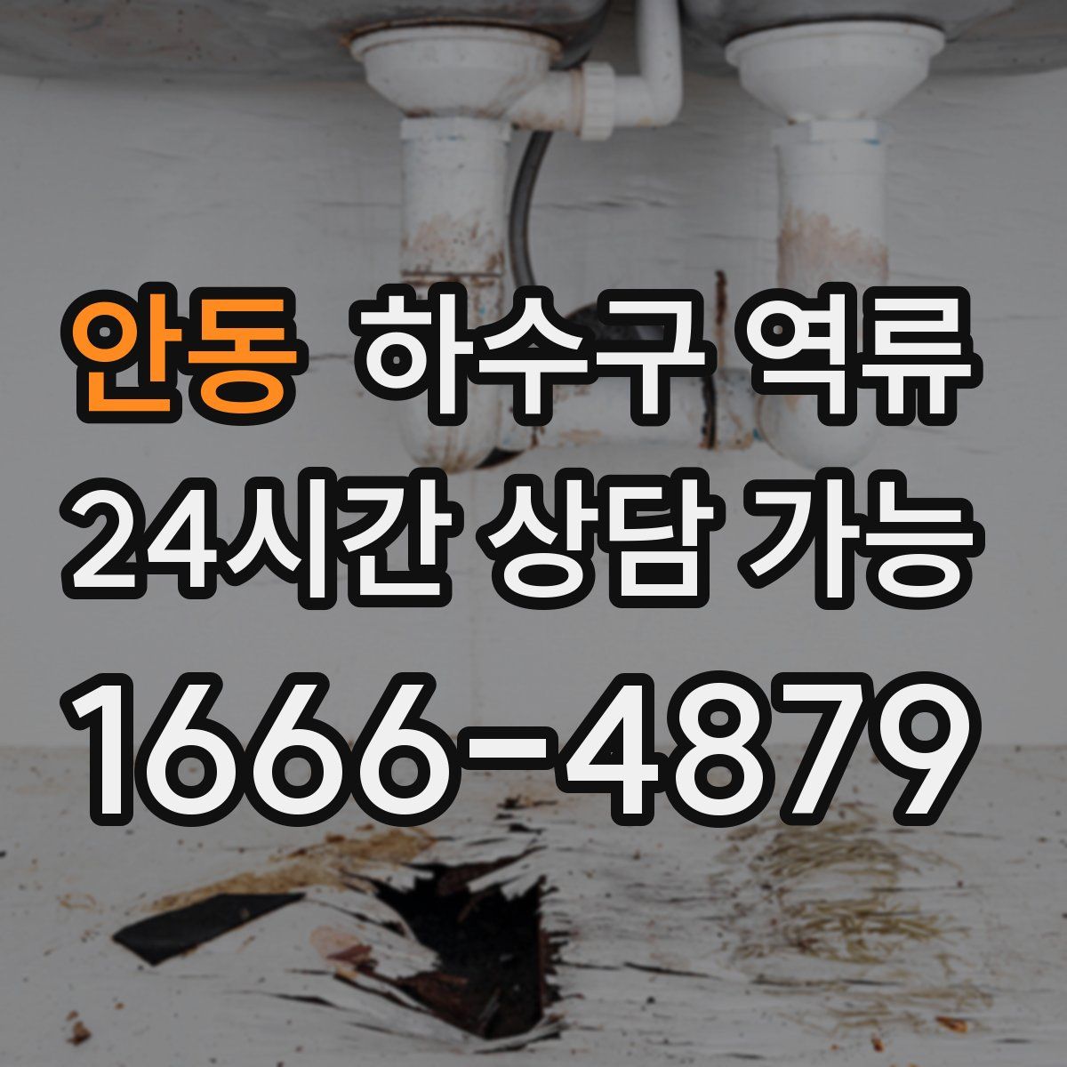 안동 하수구 역류