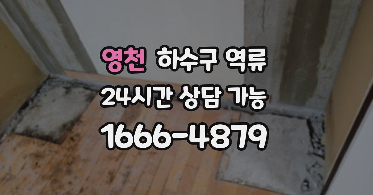 영천 하수구 역류