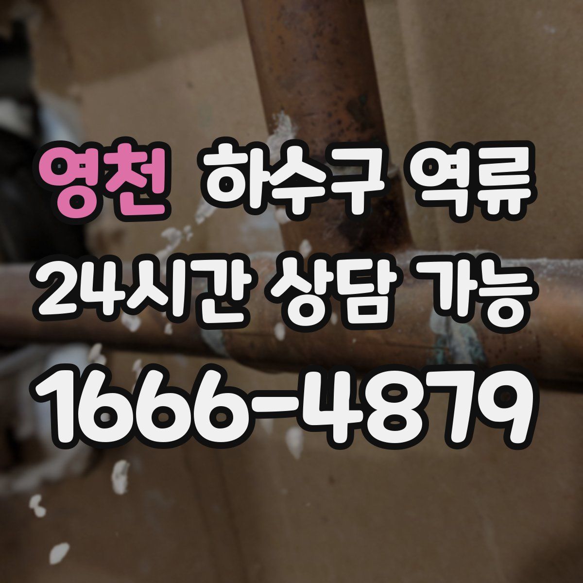 영천 하수구 역류