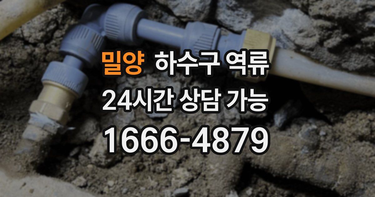 밀양 하수구 역류