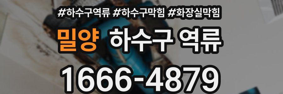 밀양 하수구 역류