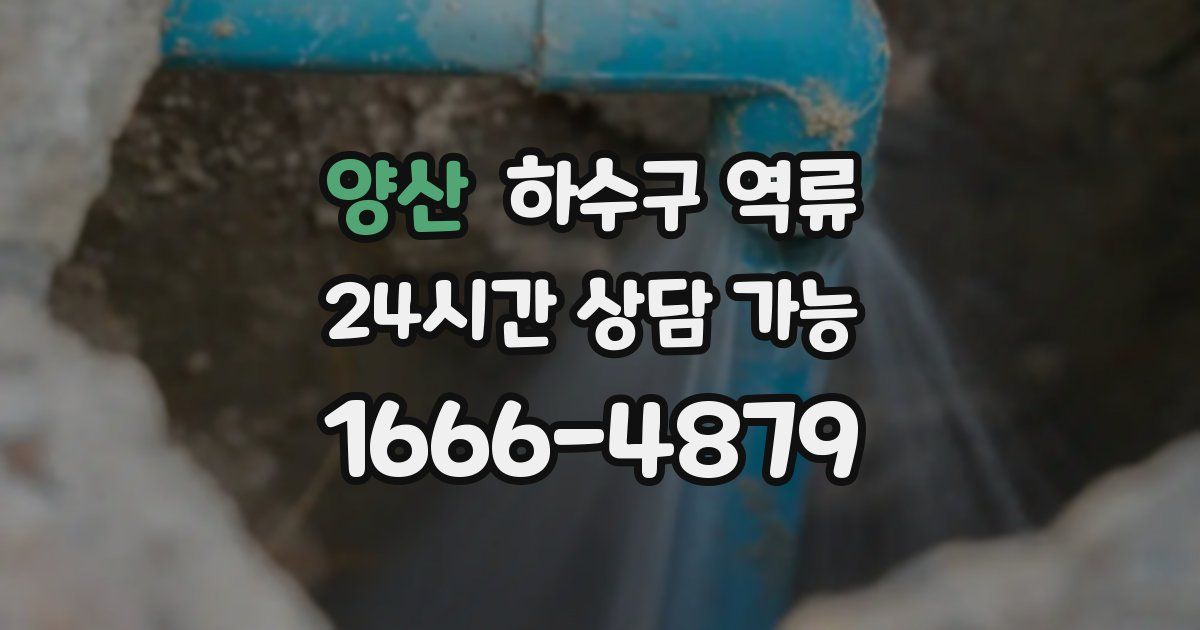 양산 하수구 역류