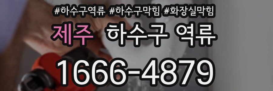 제주 하수구 역류