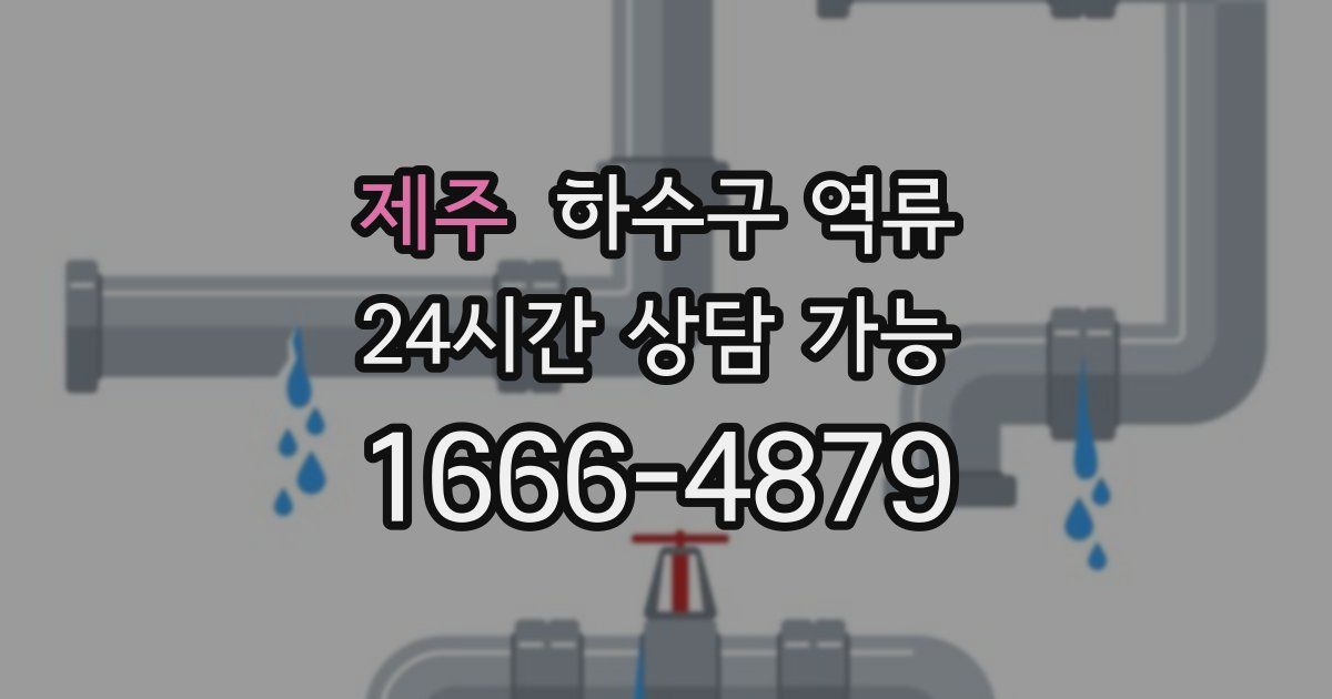 제주 하수구 역류