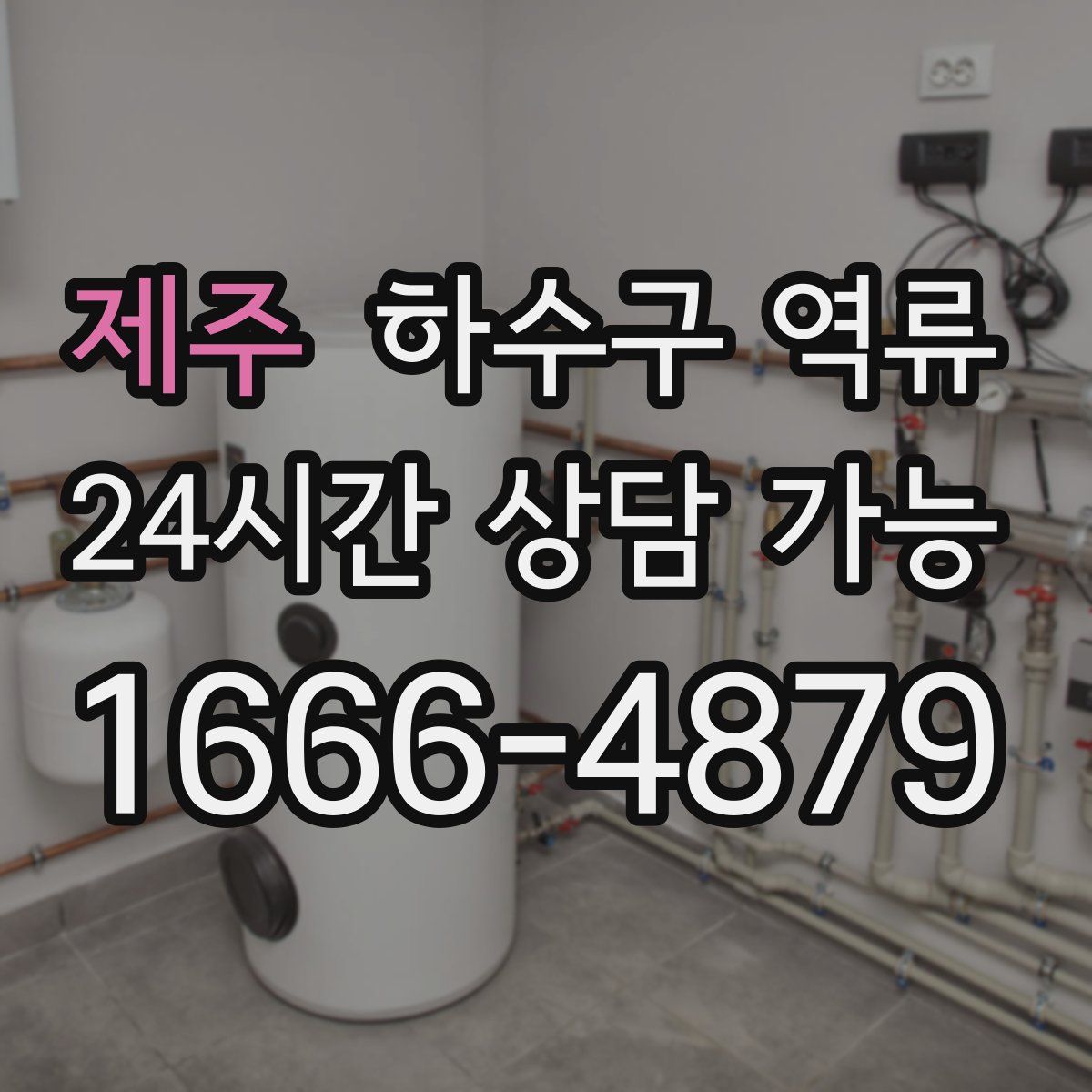 제주 하수구 역류