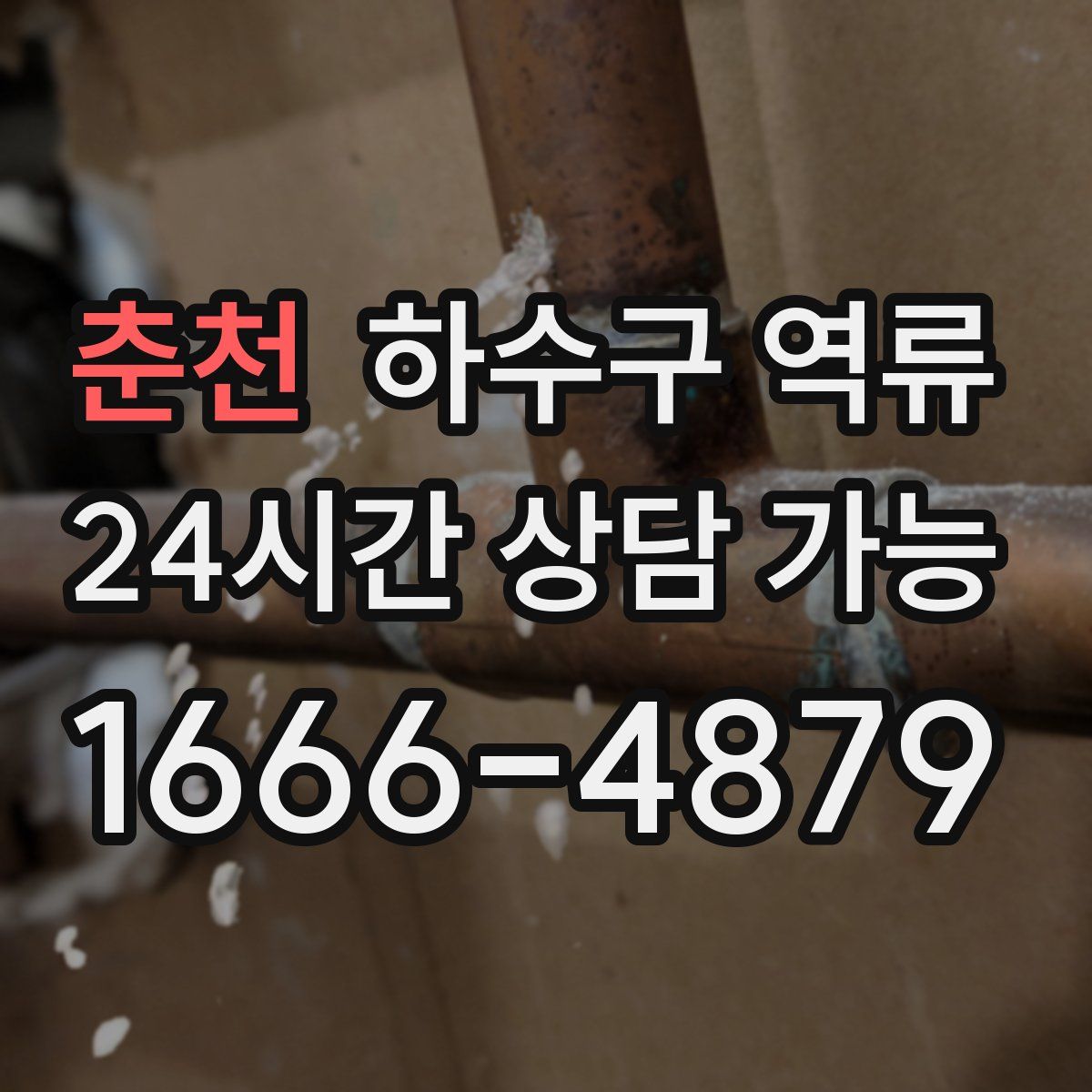 춘천 하수구 역류