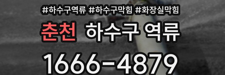 춘천 하수구 역류