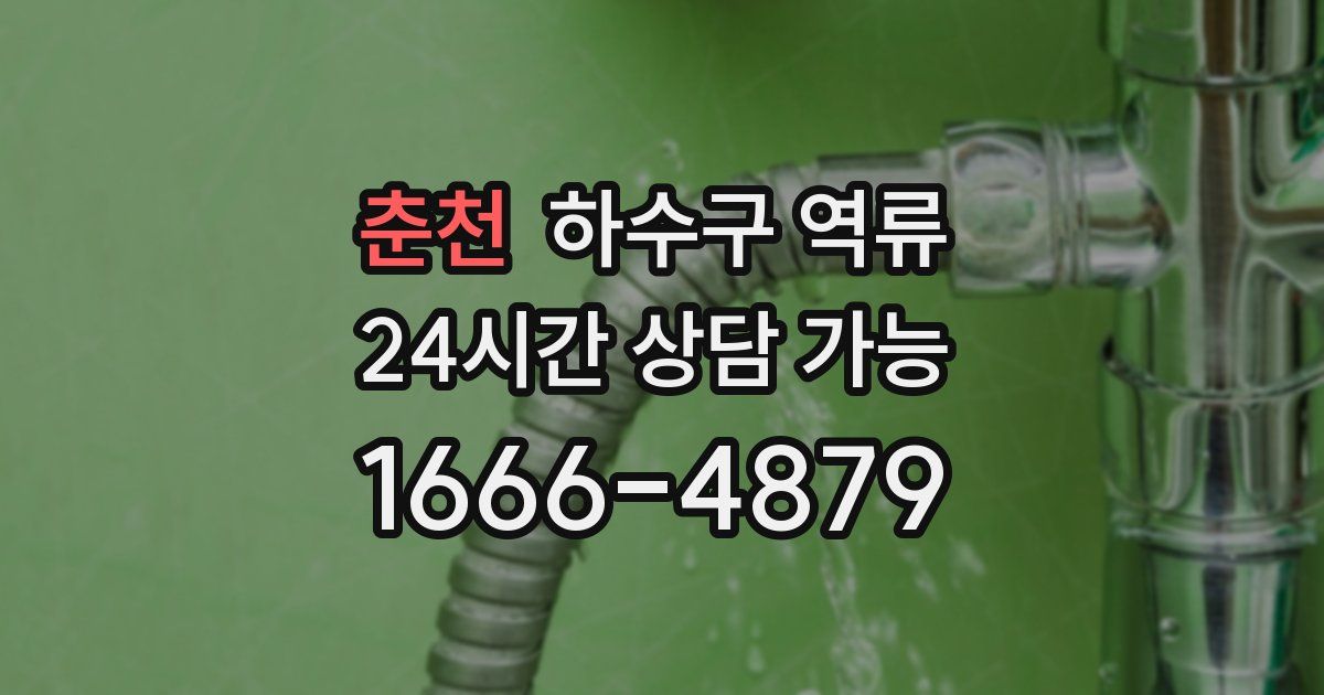 춘천 하수구 역류