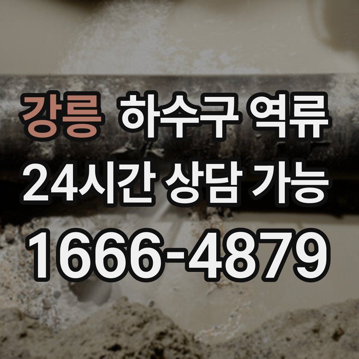 강릉 하수구 역류