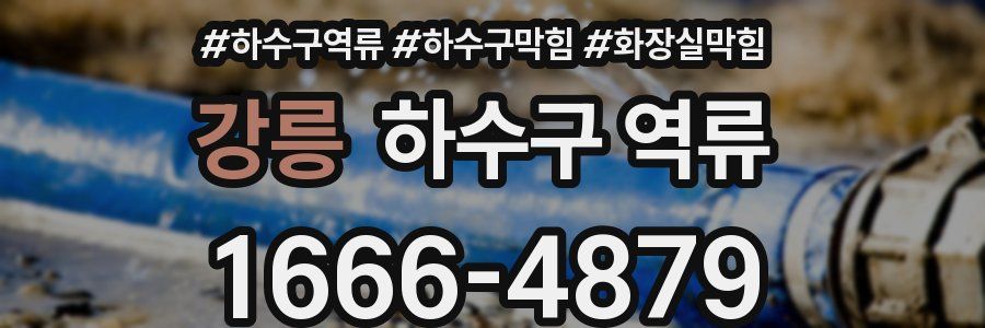 강릉 하수구 역류