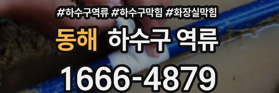 동해 하수구 역류