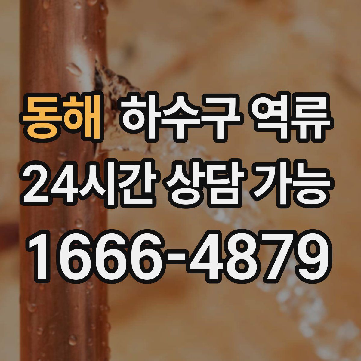 동해 하수구 역류