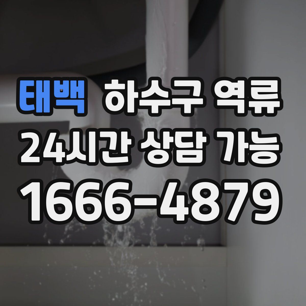 태백 하수구 역류