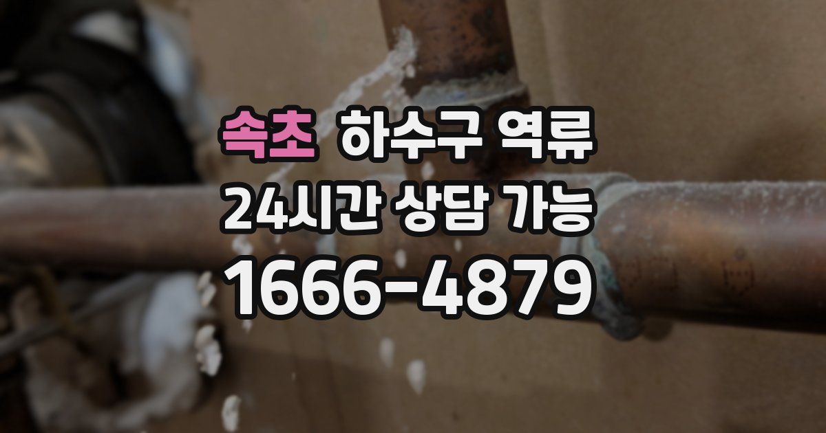 속초 하수구 역류