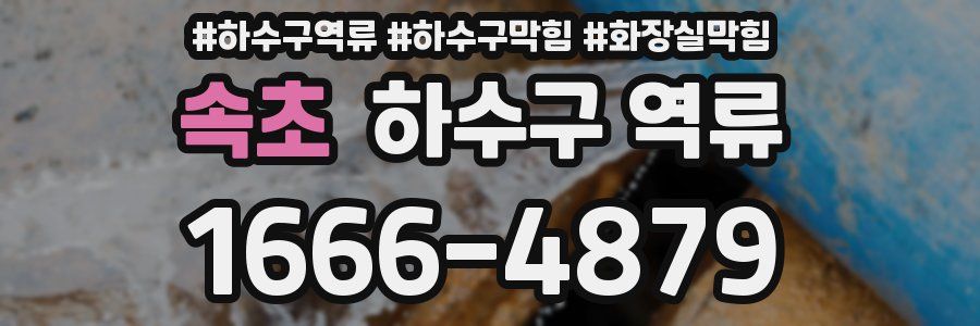 속초 하수구 역류