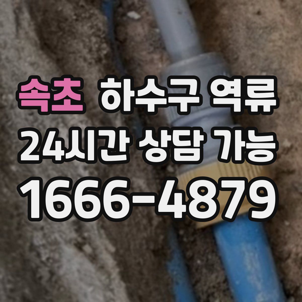 속초 하수구 역류