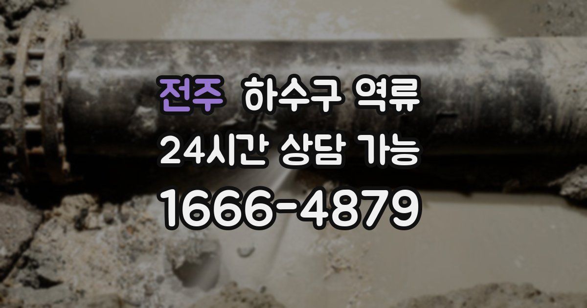 전주 하수구 역류