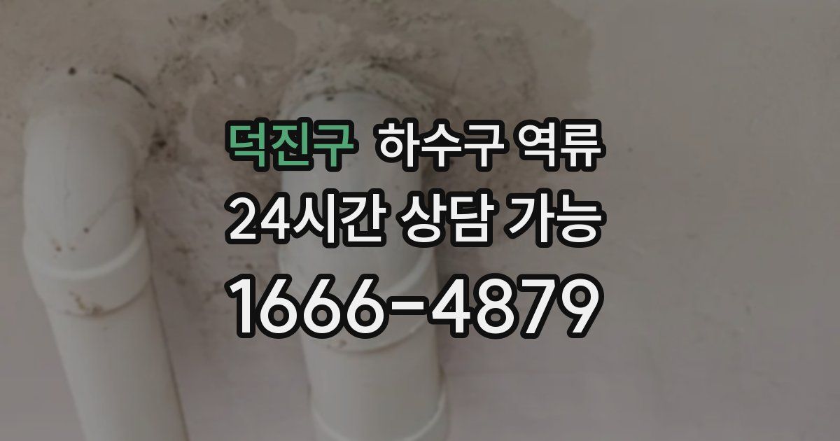 덕진구 하수구 역류