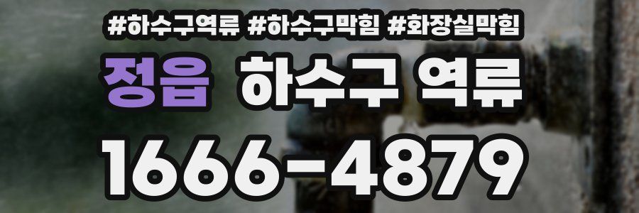 정읍 하수구 역류